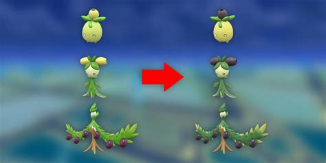smogon shiny|Smoliv (Pokémon) .